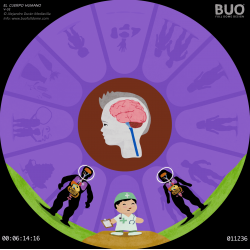 El cuerpo Humano